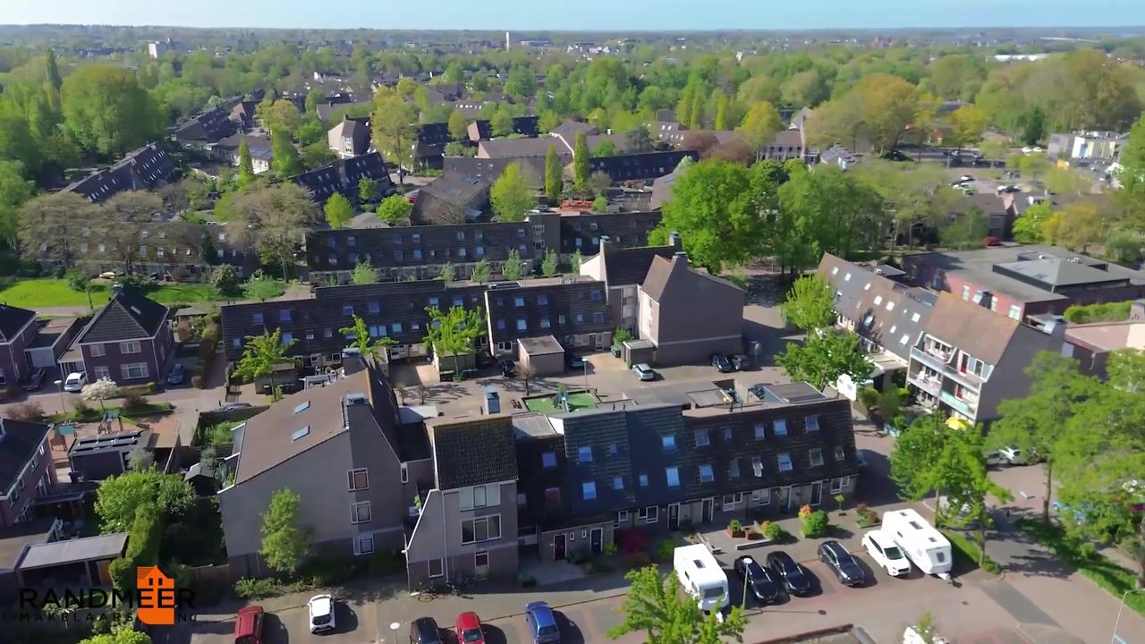 Video of Hoefbladmeen 45