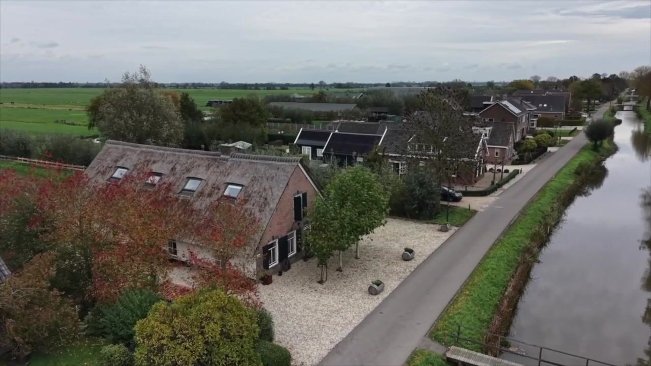 Video of Benedeneind NZ 384