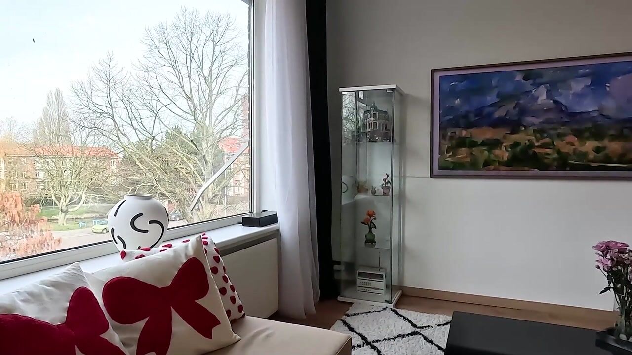 Video of Prins Bernhardlaan 116