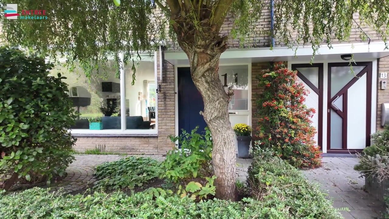 Video van Frankenplantsoen 11