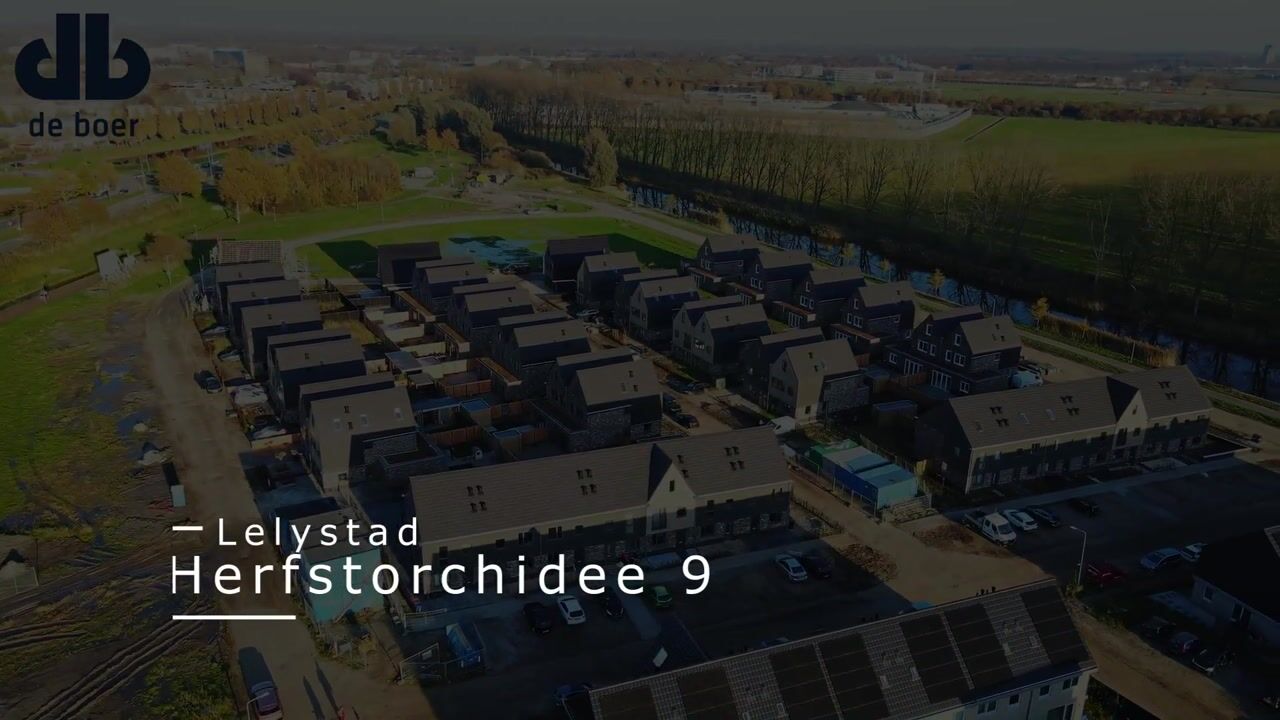 Video of Herfstorchidee 9