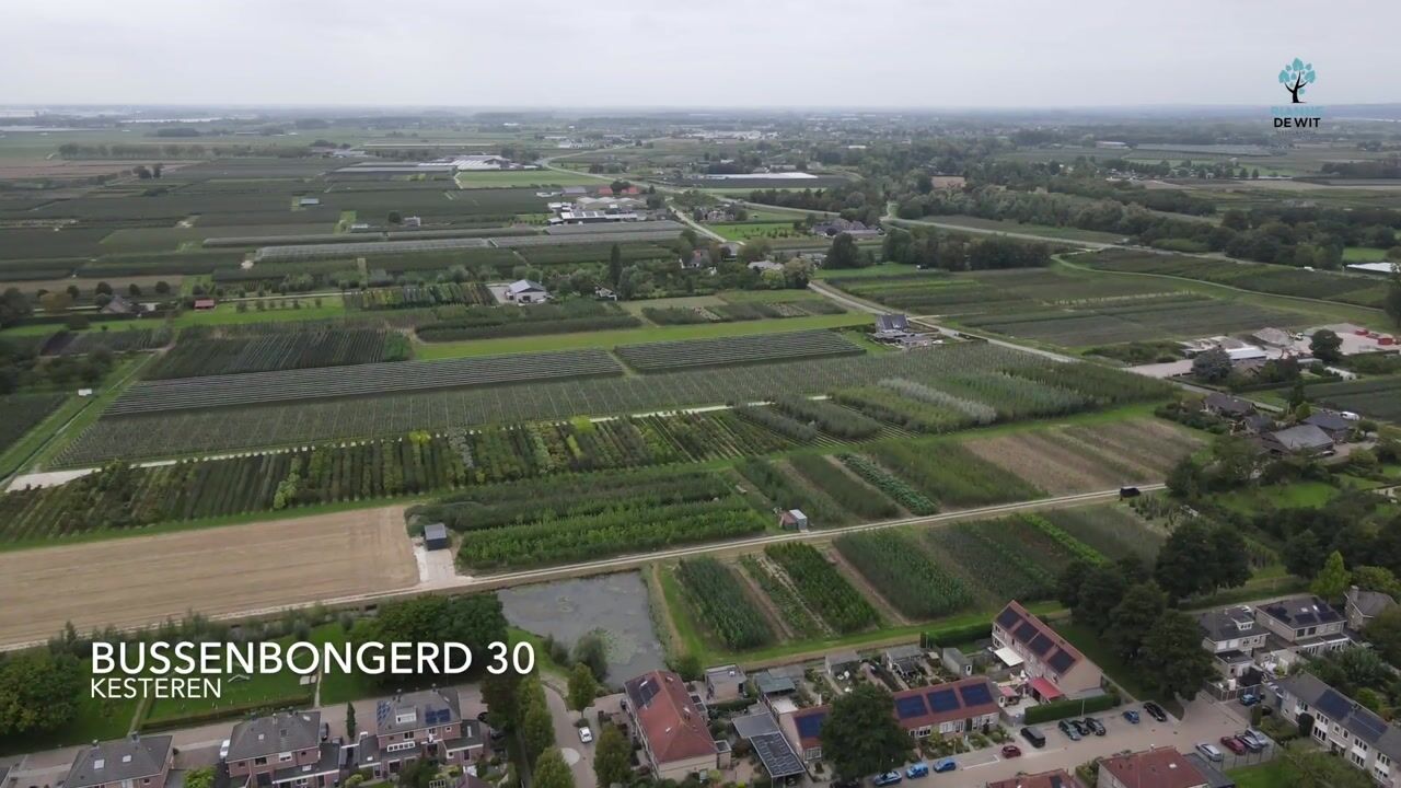 Video van Bussenbongerd 30