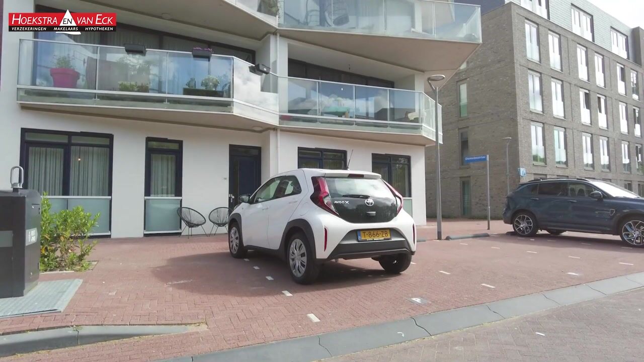 Video of Agamemnonsingel 12