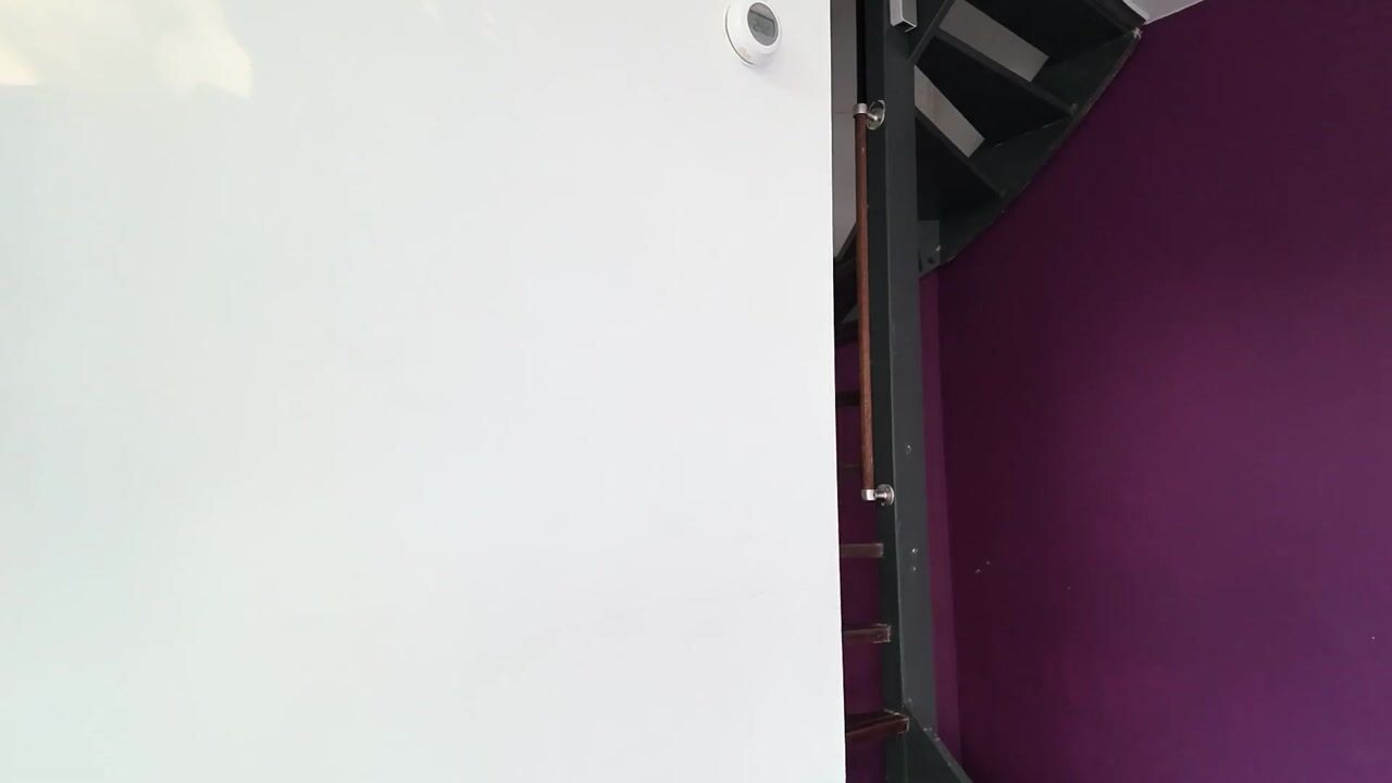 Video van Zwanenveld 4360