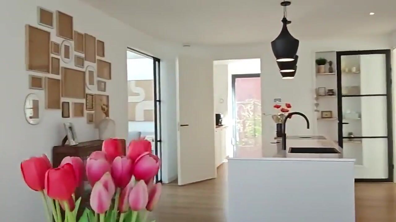Video of Tureluur 50