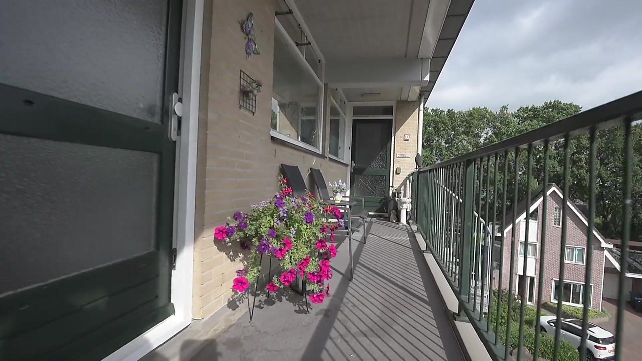 Video van Bokkekamp 48
