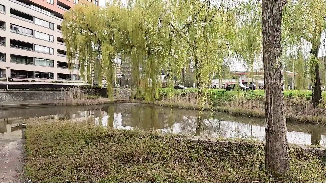 Video van Uiterwaard 68