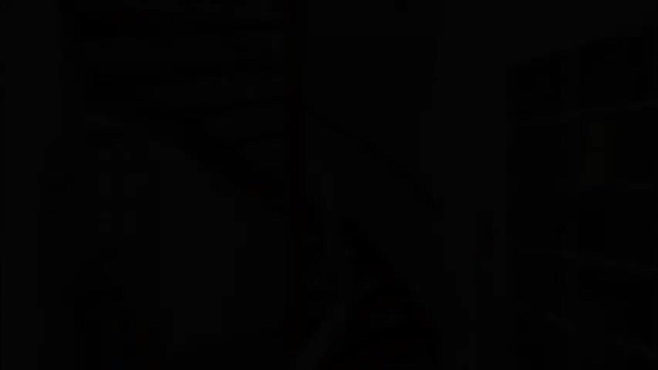 Video van Nedersassen 2
