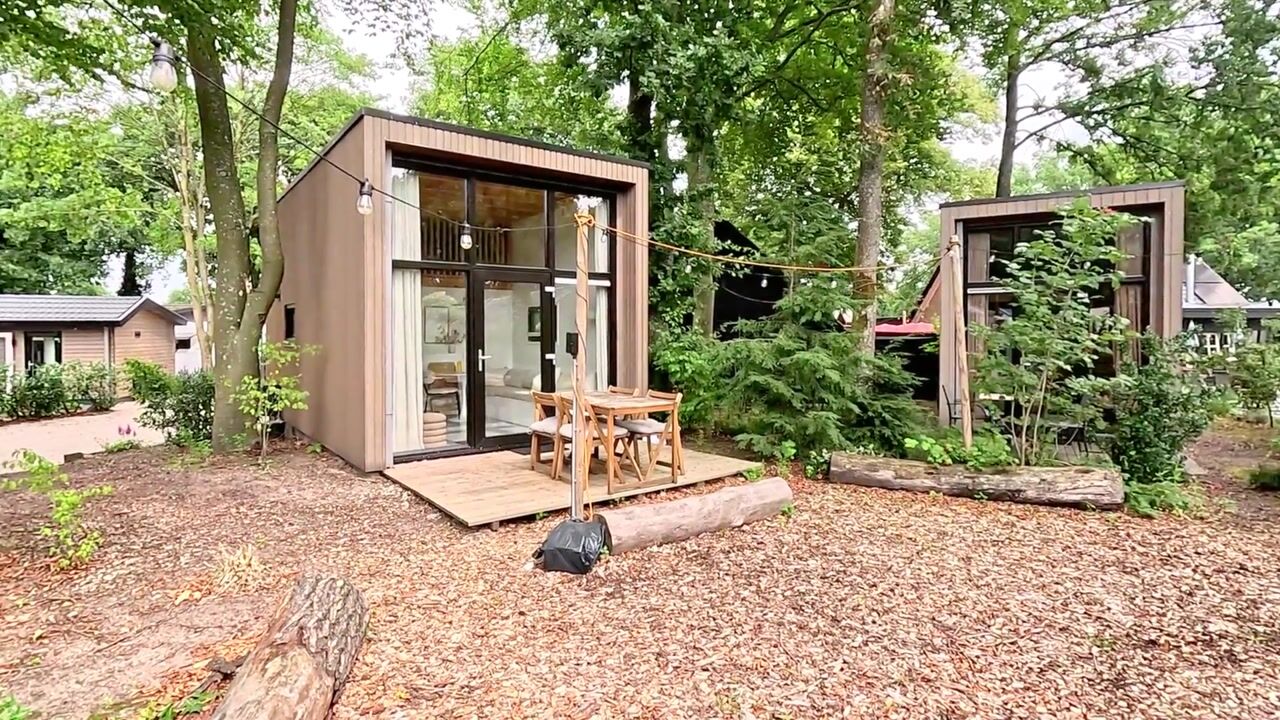 Video of Vinkenkamp 10-Z41