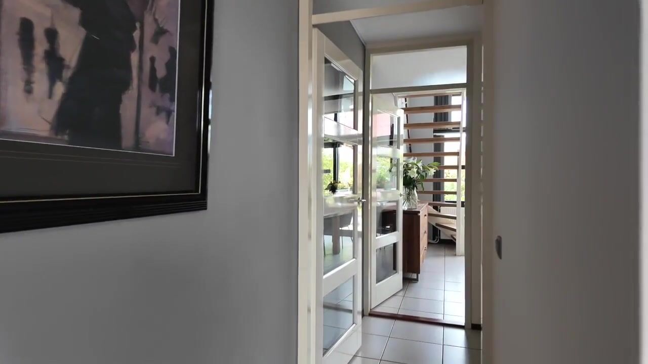 Video of Afrikaring 133