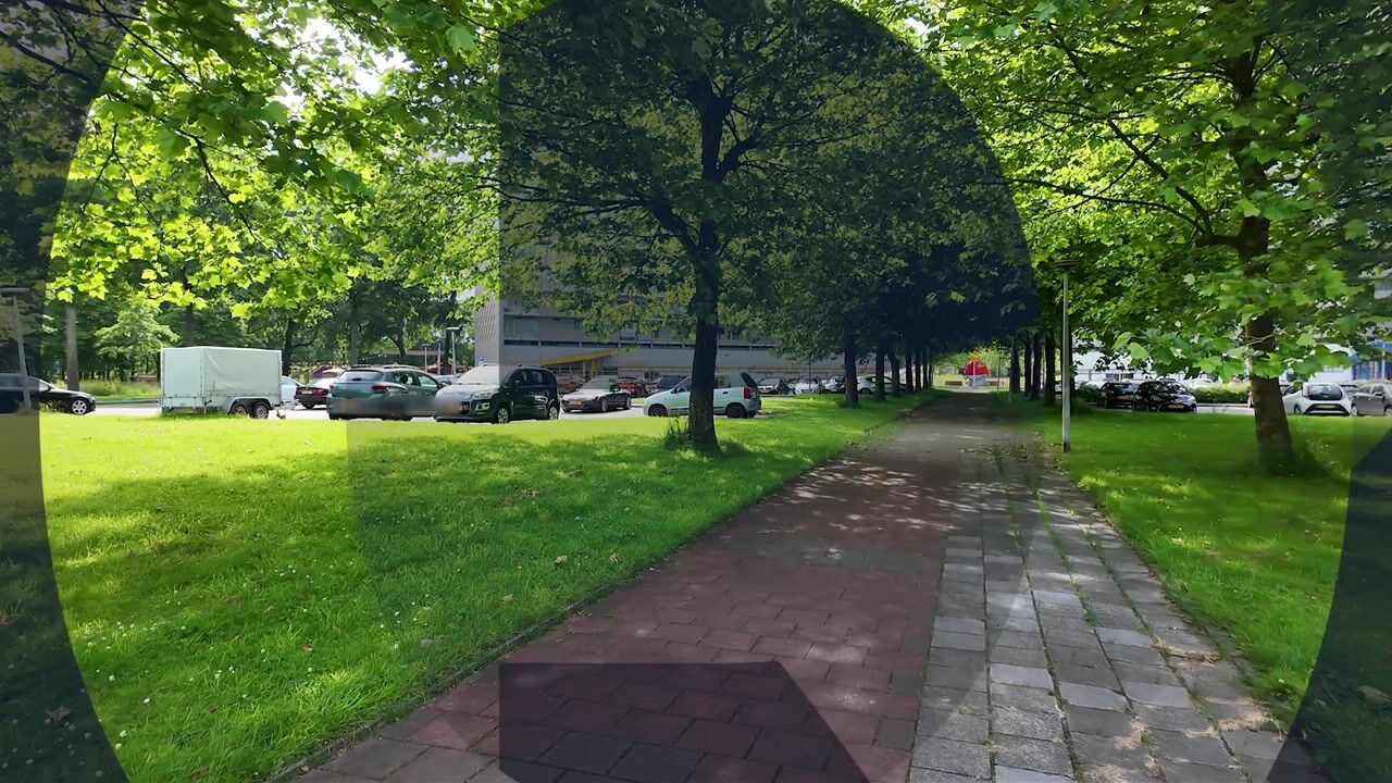 Video of Tjaarda 356