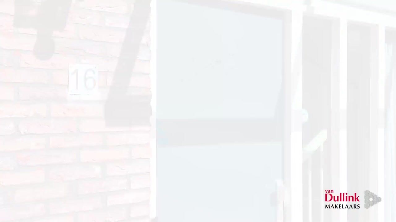 Video van Zintele 16