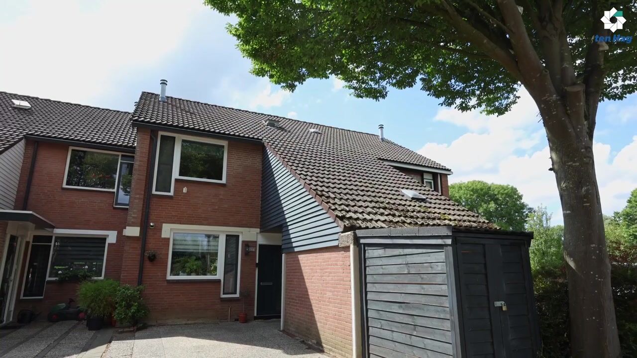 Video van Braamkamp 60