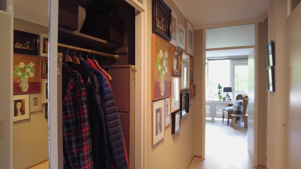 Video van Prattenburg 84