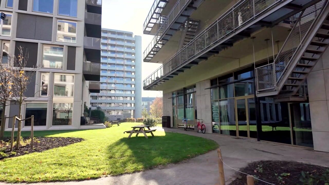 Video van Poeldijkstraat 381