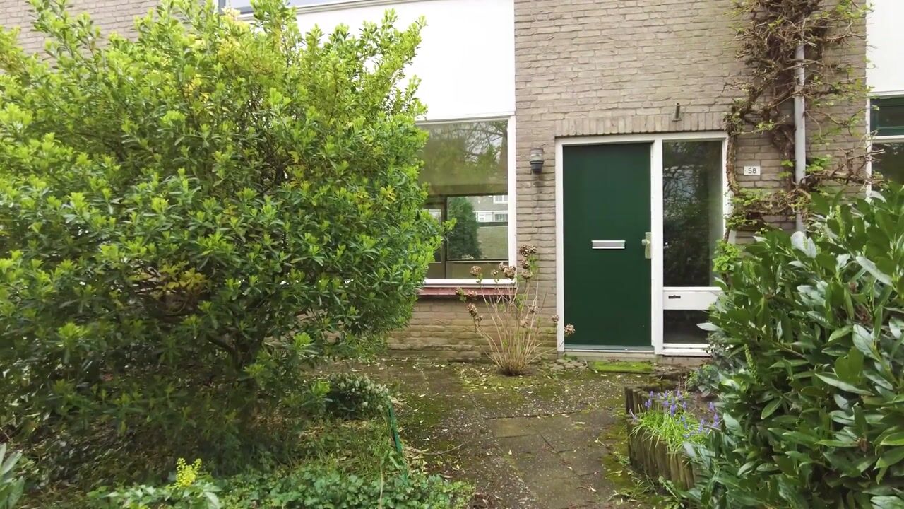 Video van Sleggeplantsoen 58