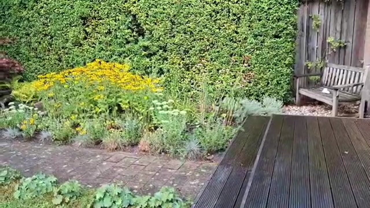 Video van Mozartlaan 3