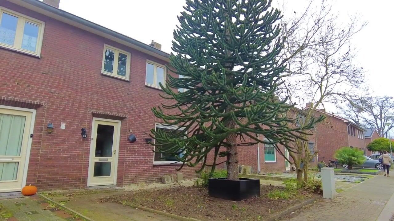 Video of Doctor Poelsstraat 10