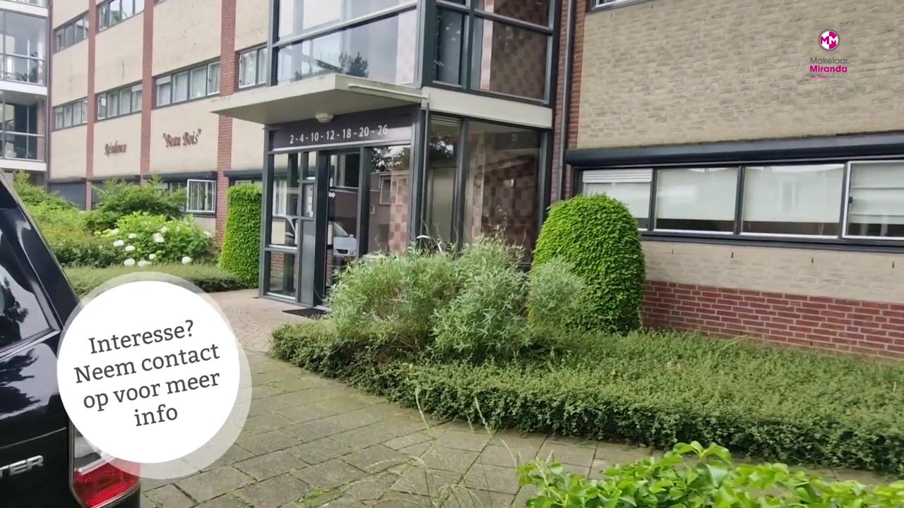 Bekijk video van Aalscholver 12