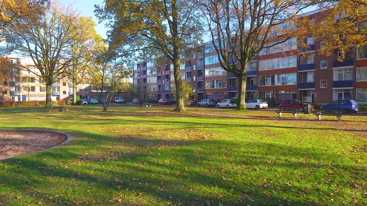 Video of Lingestraat 52