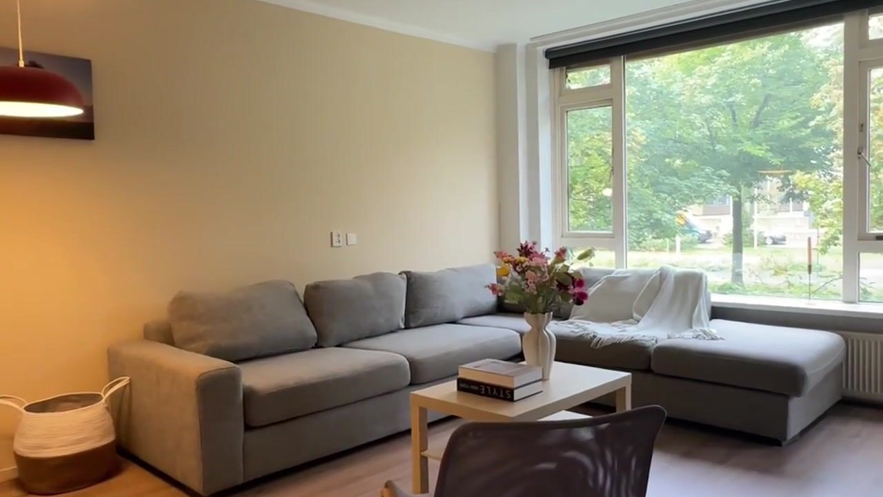 Video van Tolsteegplantsoen 3