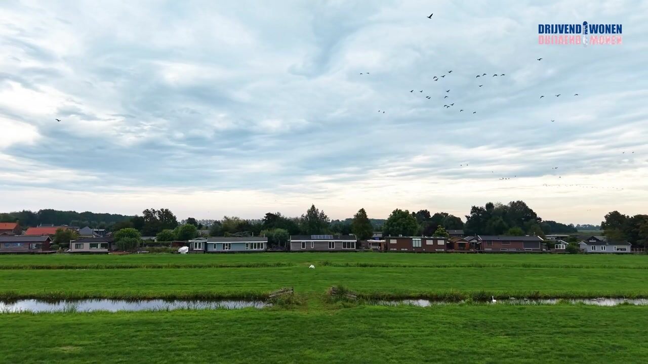 Video van Waterlelie 10