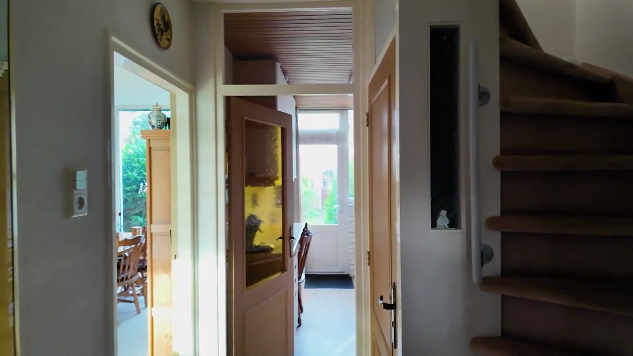 Video of Anne Franklaan 501