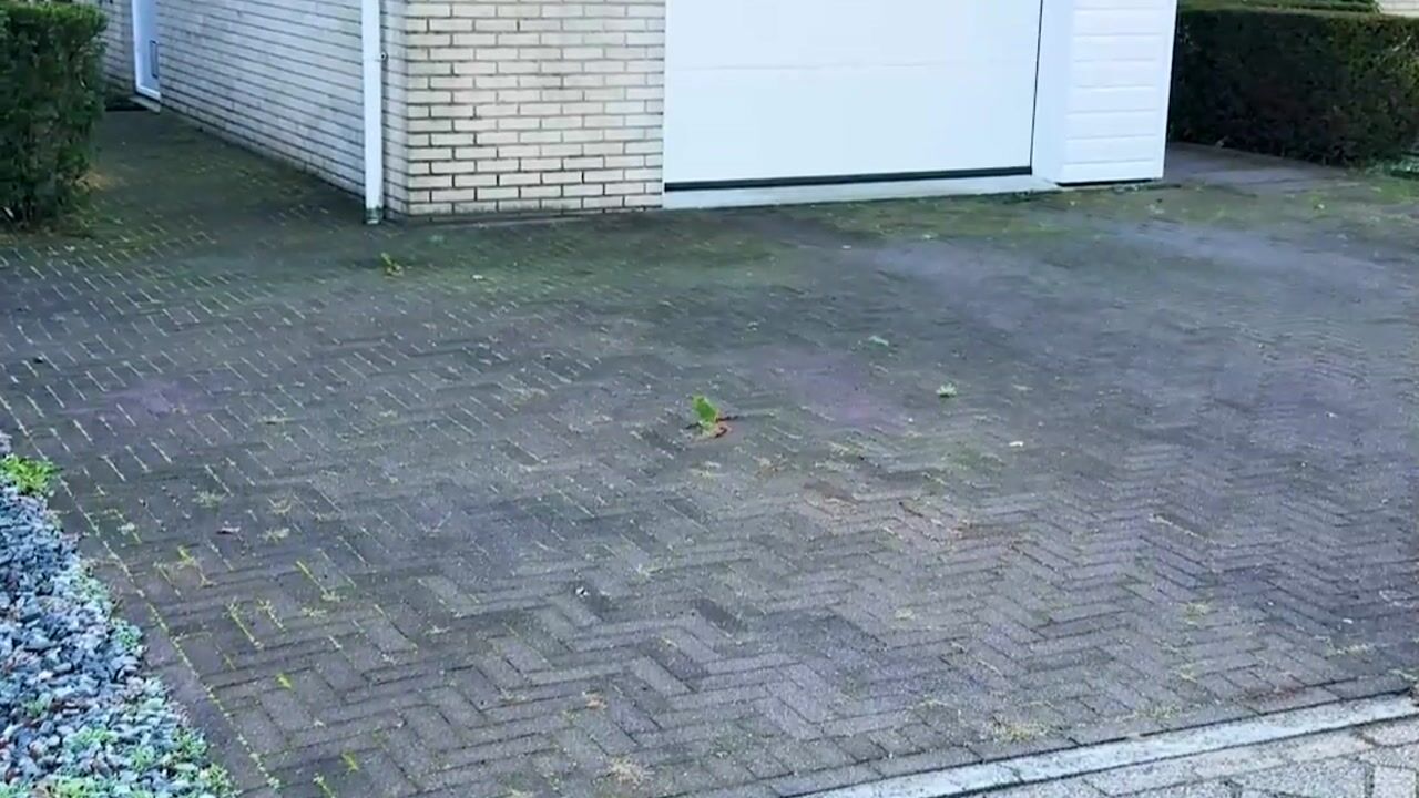 Video of De Santbrincke 12