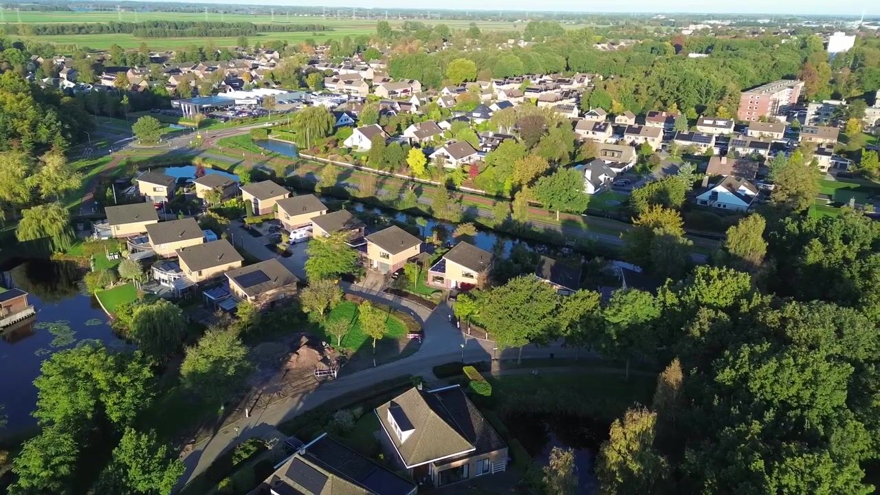 Video van Waterranonkel 2