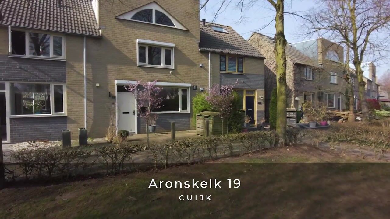 Video van Aronskelk 19