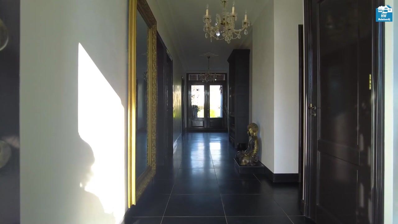 Video of Schaafdries 60