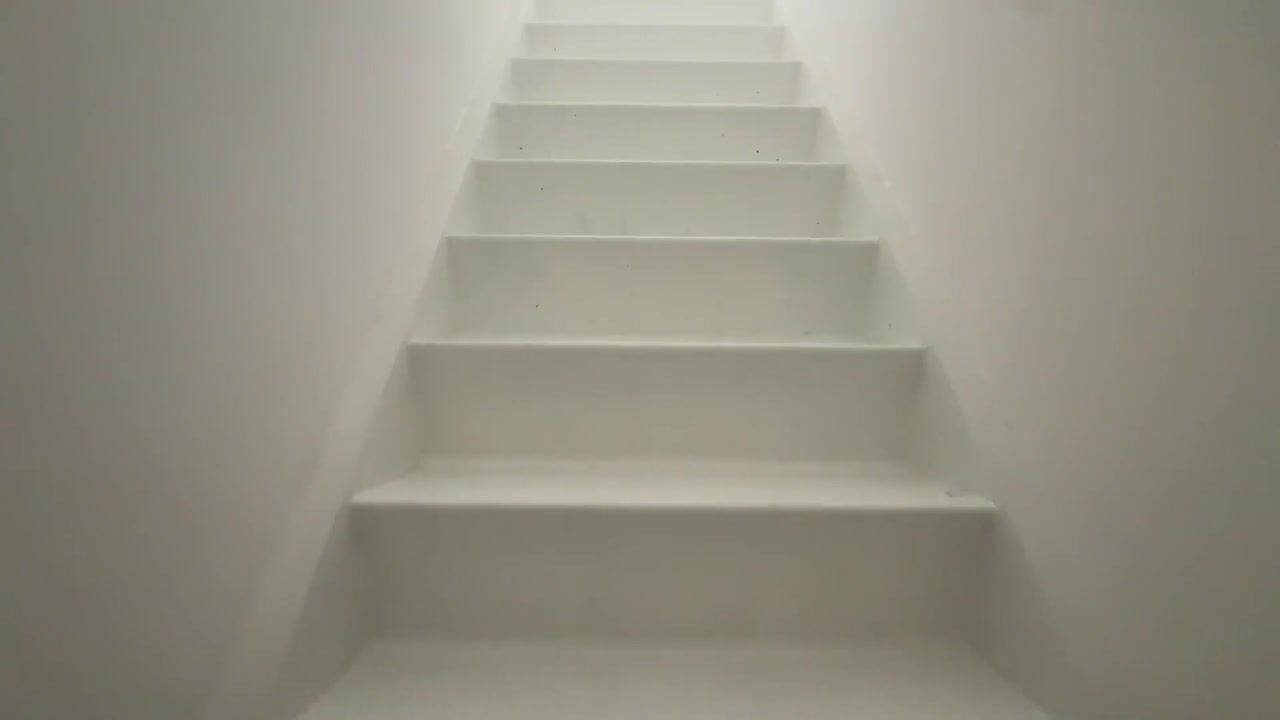 Video van Schout Heynricstraat 40