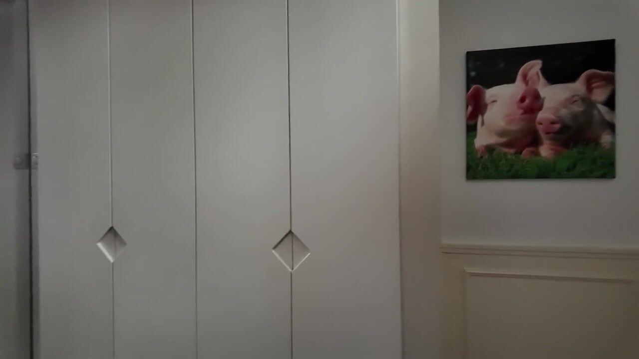 Video of Spechtlaan 3