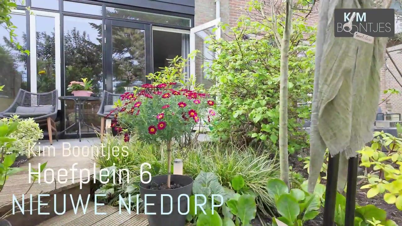 Video van Hoefplein 6