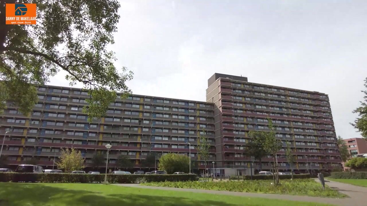 Video van Laveibos 138