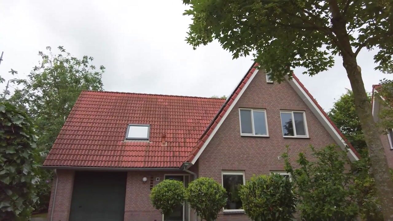 Video of Hofkamp 184