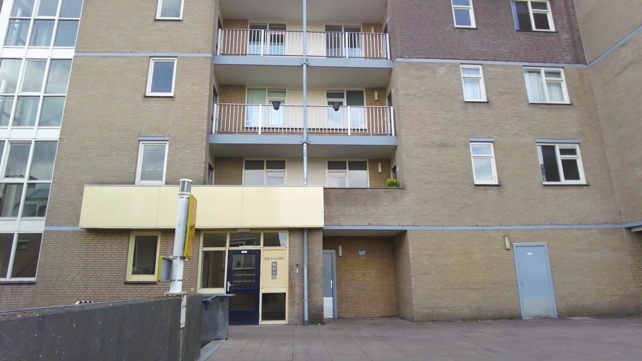 Video van Henry Moorepassage 232