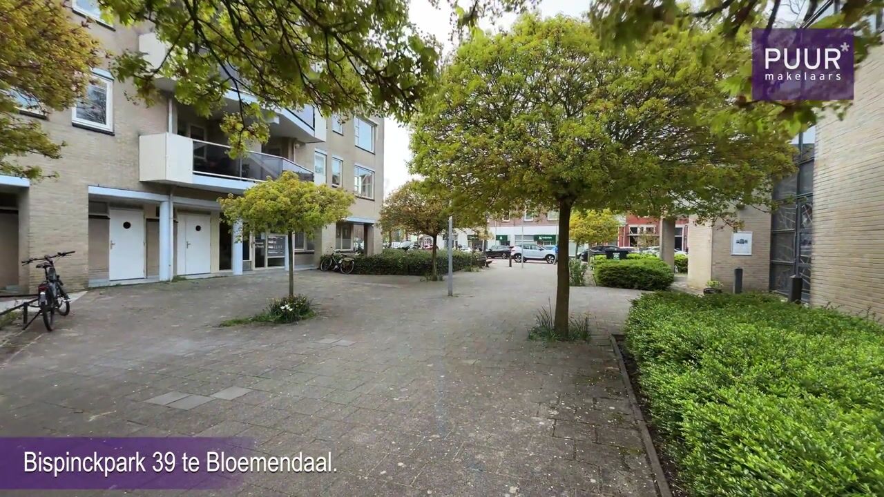 Video van Bispinckpark 39