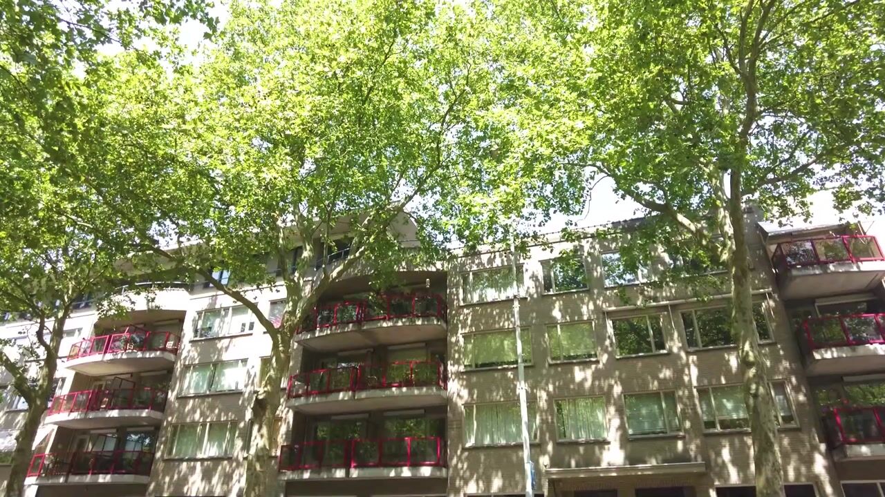 Video van Schoonhoeve 33
