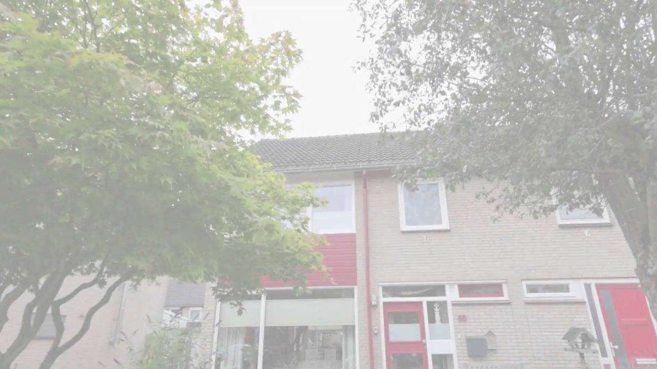 Video of Ververstraat 50