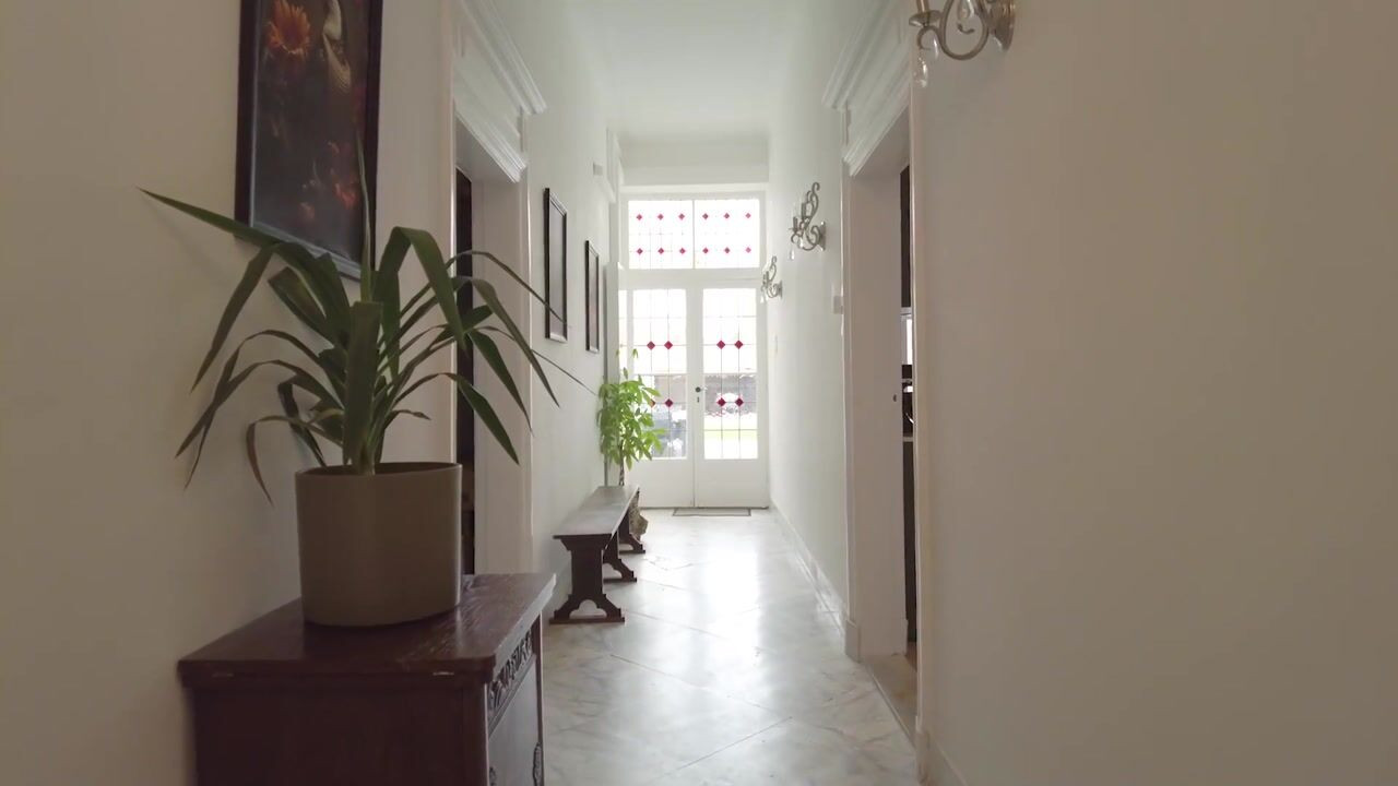 Video van Steenstraat 22