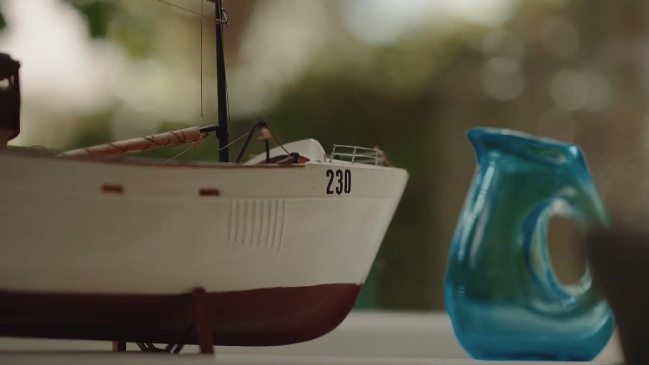 Video van Statenlaan 16