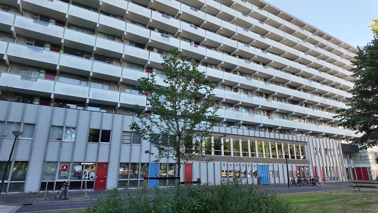 Video of Grubbehoeve 619