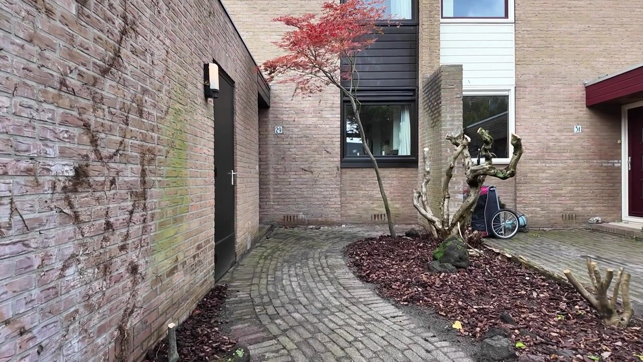Video van De Savornin Lohmanplantsoen 29