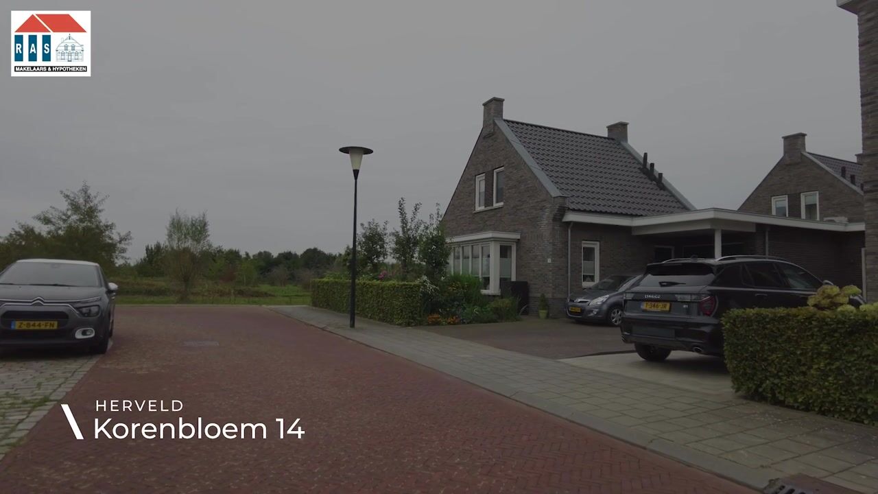 Video of Korenbloem 14
