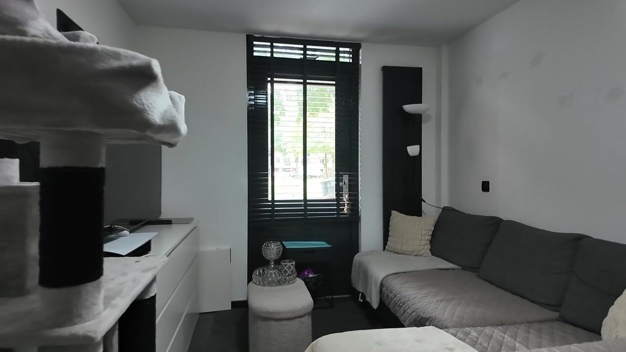 Video van Heelkruid 36