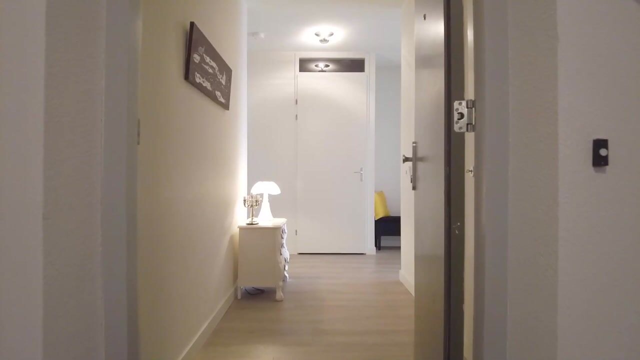 Video of Schieveen 53