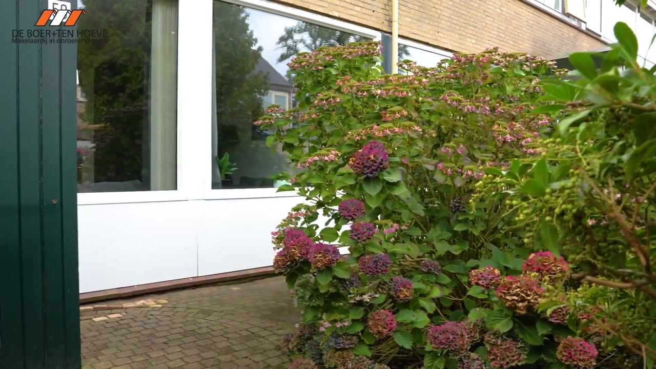Video van Waardeel 59