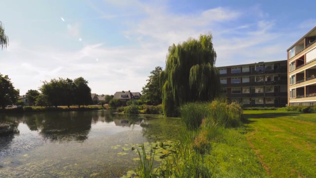 Video van Oltmansstraat 39