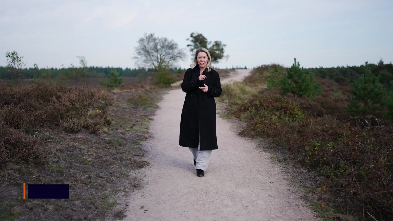 Video van Torenweg 28